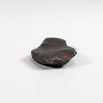  Canyon Diablo Meteorite-in-a-Box | 11.6 Grams | Individual | Iron IAB-MG | Arizona U.S.A. | SO24 2