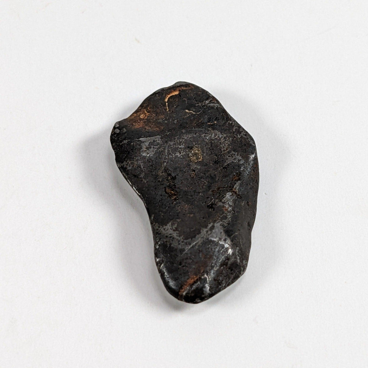 Canyon Diablo Meteorite-in-a-Box | 11.6 Grams | Individual | Iron IAB-MG | Arizona U.S.A. | SO24 7
