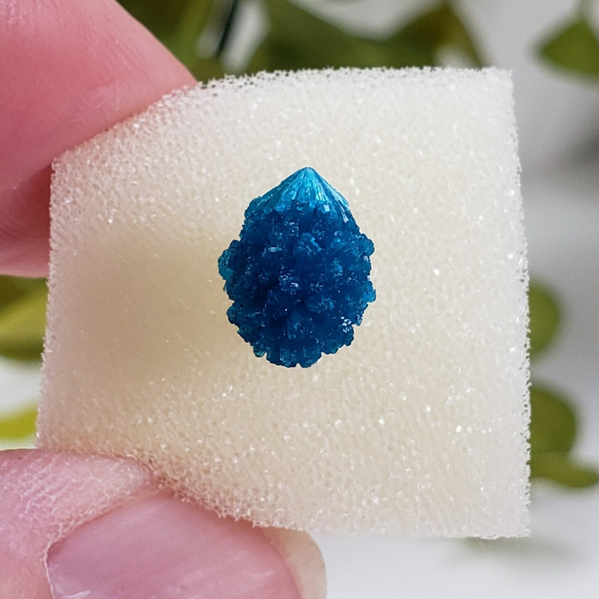  Cavansite Crystal | Perky Box Thumbnail Specimen | Wagholi Quarry | Poona, India | SO24 2
