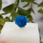  Cavansite Crystal | Perky Box Thumbnail Specimen | Wagholi Quarry | Poona, India | SO24 4