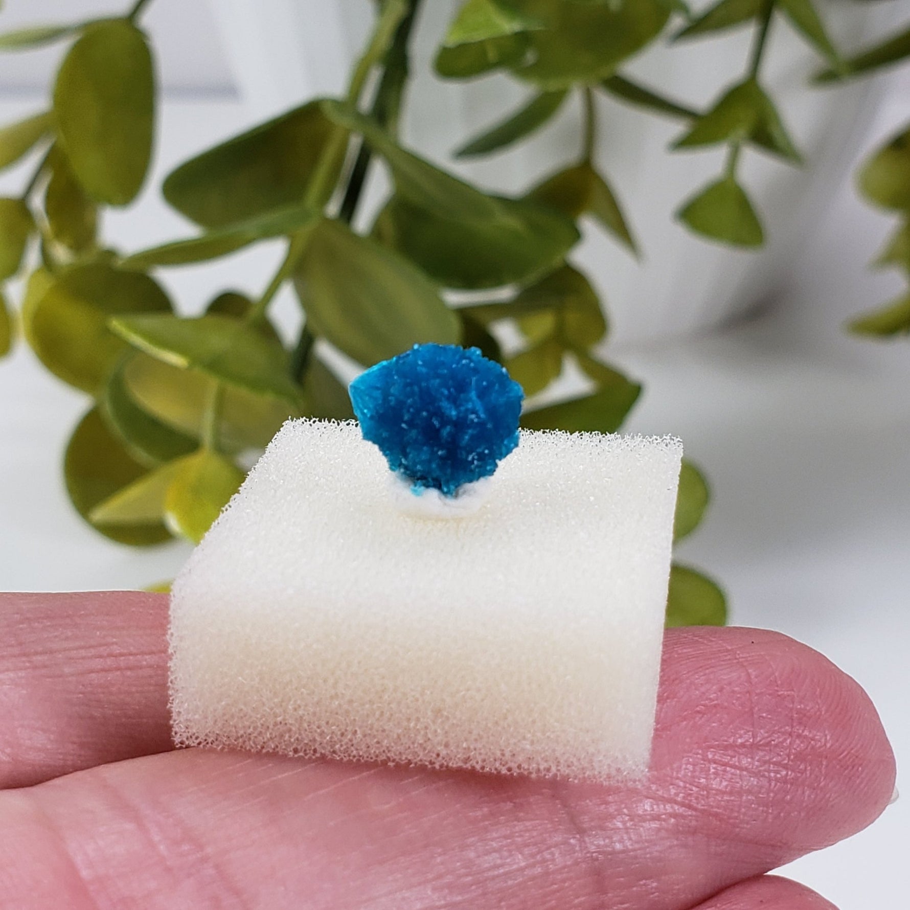  Cavansite Crystal | Perky Box Thumbnail Specimen | Wagholi Quarry | Poona, India | SO24 5