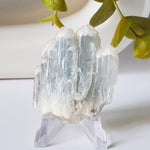  Celestial Blue Celestite Crystal Cluster | Celestite Points | 48 gr | Dundas, Canada | SO24 3