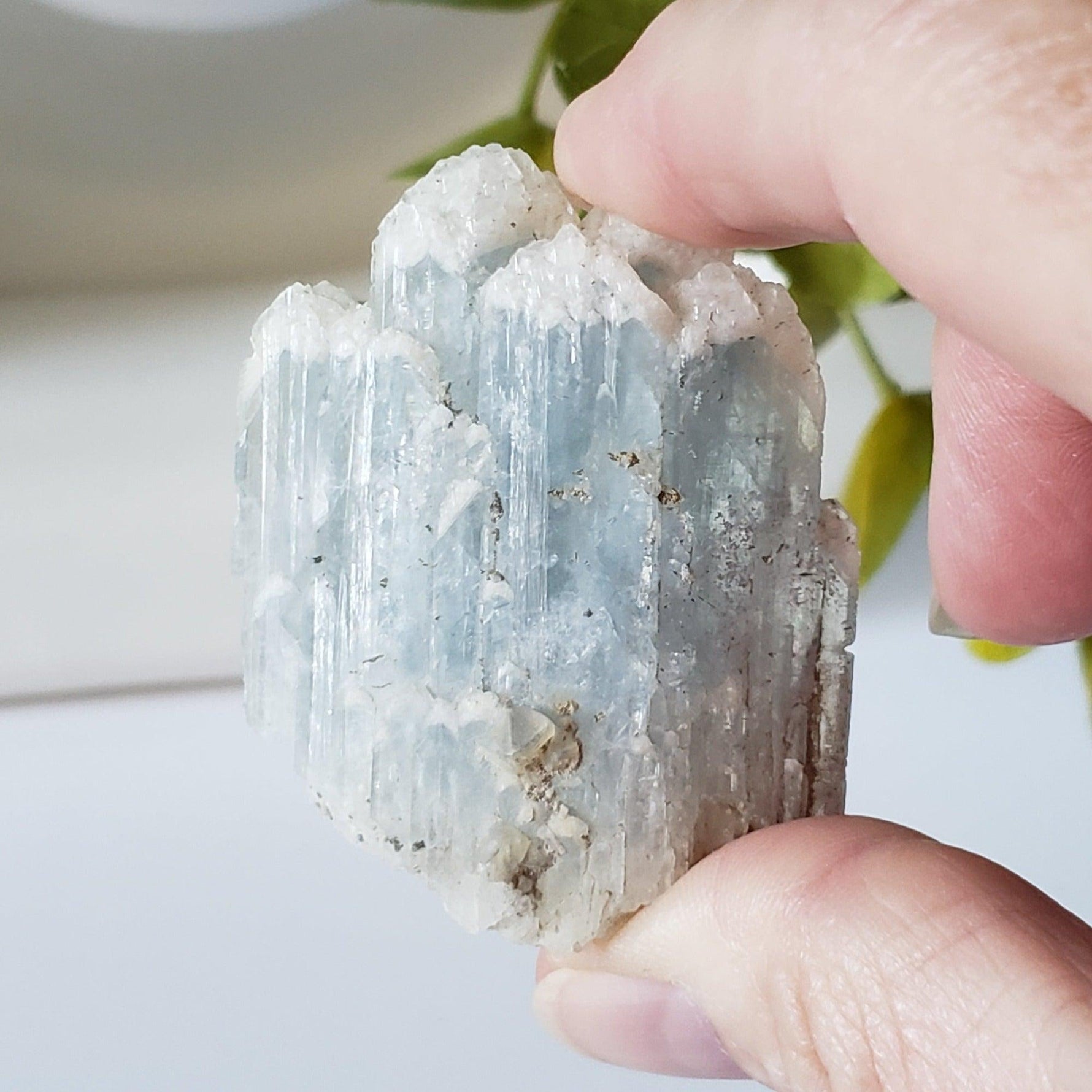  Celestial Blue Celestite Crystal Cluster | Celestite Points | 48 gr | Dundas, Canada | SO24 4