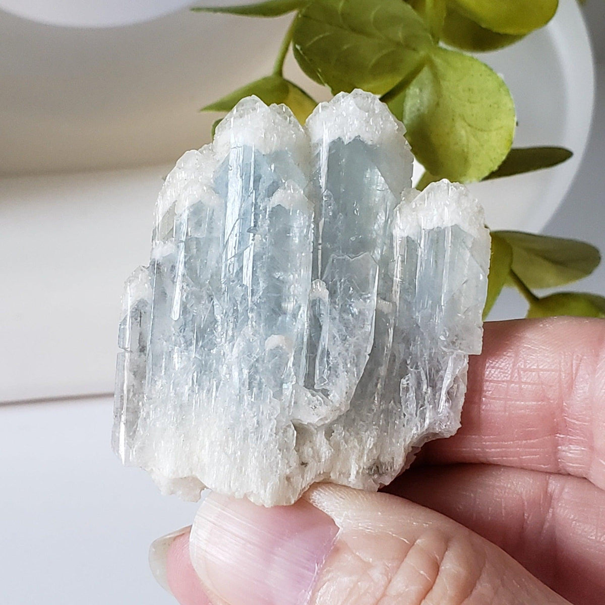 Celestial Blue Celestite Crystal Cluster | Celestite Points | 48 gr | Dundas, Canada | SO24 