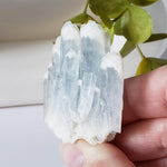  Celestial Blue Celestite Crystal Cluster | Celestite Points | 48 gr | Dundas, Canada | SO24 5