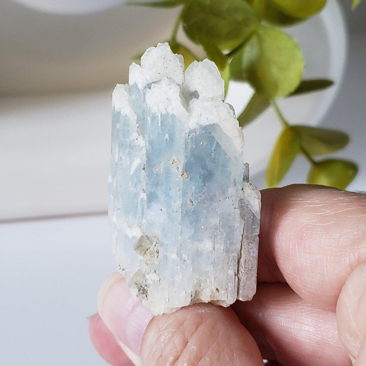  Celestial Blue Celestite Crystal Cluster | Celestite Points | 48 gr | Dundas, Canada | SO24 6