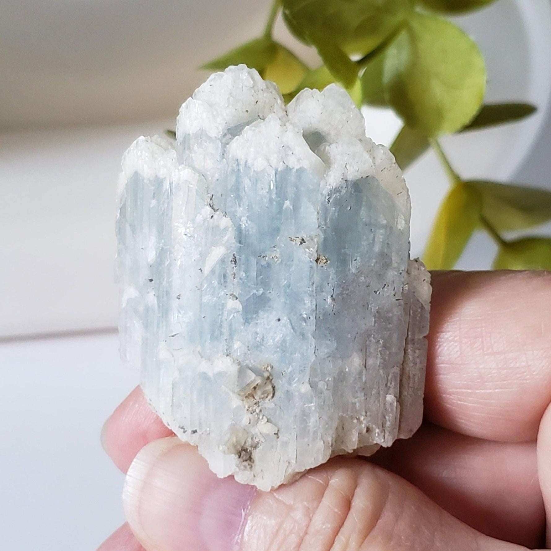  Celestial Blue Celestite Crystal Cluster | Celestite Points | 48 gr | Dundas, Canada | SO24 7