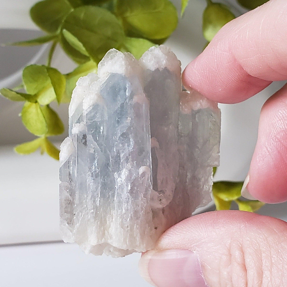  Celestial Blue Celestite Crystal Cluster | Celestite Points | 48 gr | Dundas, Canada | SO24 1