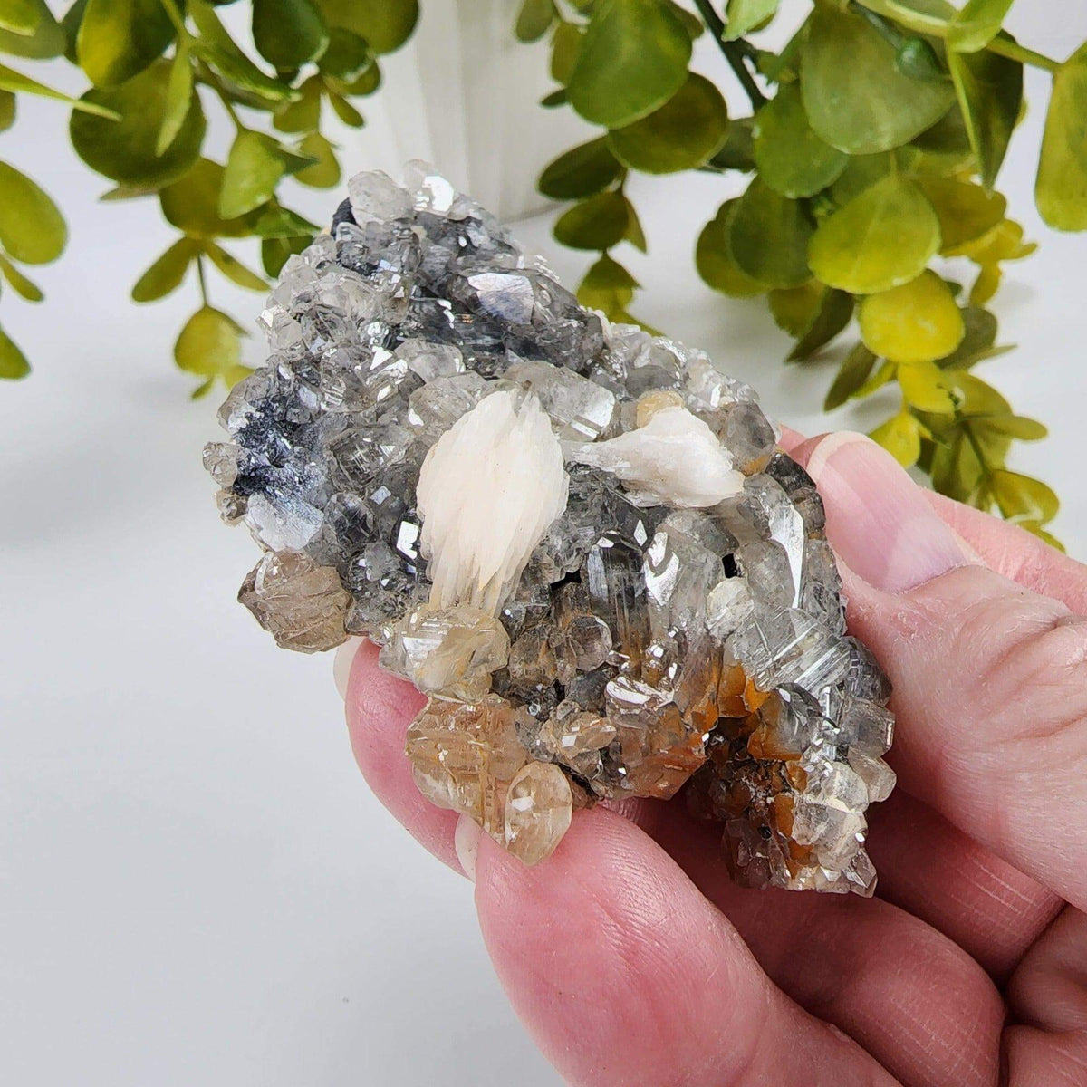  Cerussite Crystals | White Barite Blades | Galena Matrix Mineral | 145.3 gr | Morocco | SO24 4
