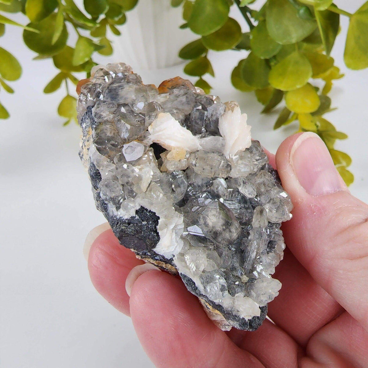  Cerussite Crystals | White Barite Blades | Galena Matrix Mineral | 145.3 gr | Morocco | SO24 5