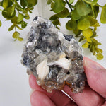  Cerussite Crystals | White Barite Blades | Galena Matrix Mineral | 145.3 gr | Morocco | SO24 7