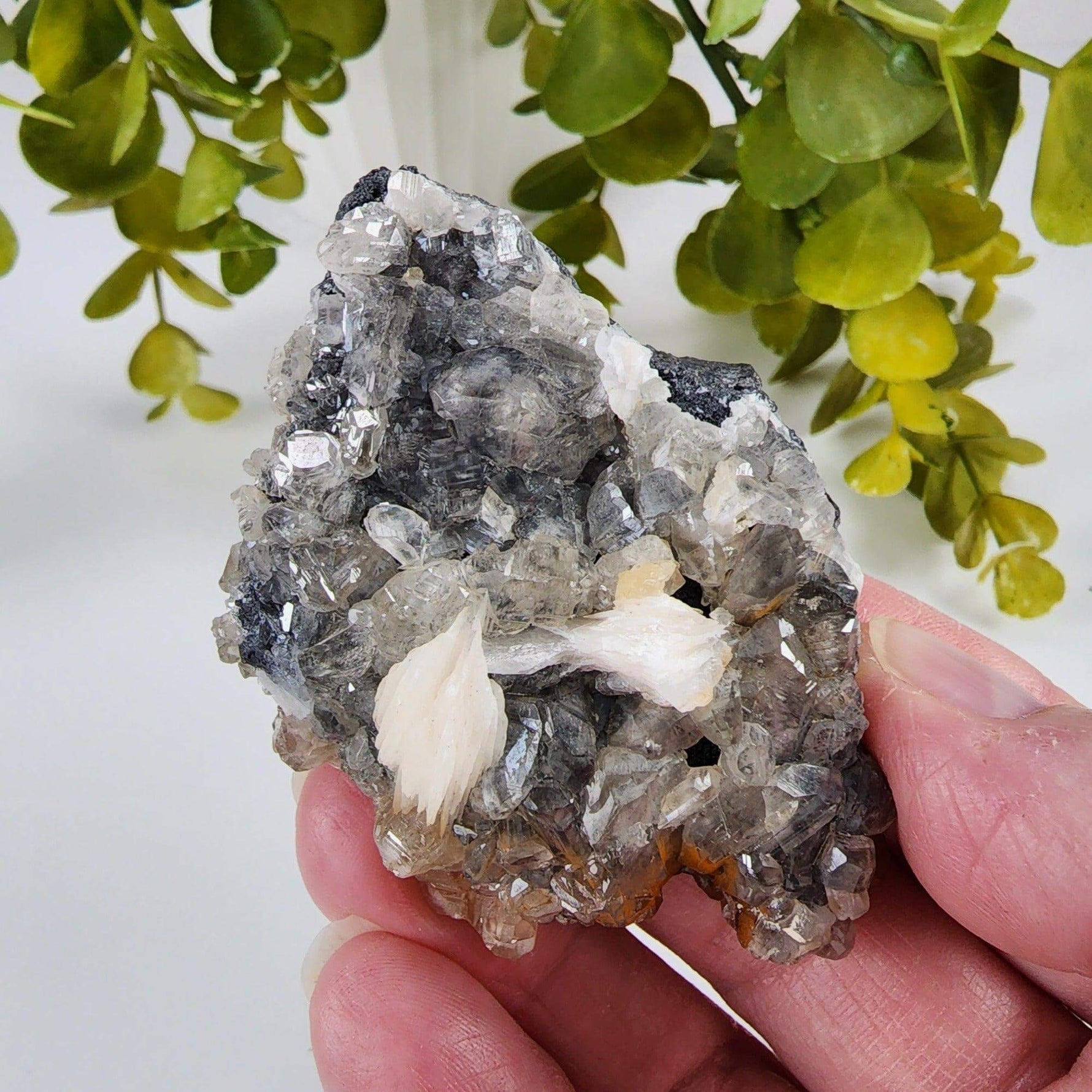  Cerussite Crystals | White Barite Blades | Galena Matrix Mineral | 145.3 gr | Morocco | SO24 7