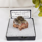  Chalcophanite on Scholzite | Display Box | Rare Combination | Reaphook Hill, South Australia | SO24 9