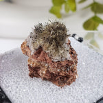  Chalcophanite on Scholzite | Display Box | Rare Combination | Reaphook Hill, South Australia | SO24 3