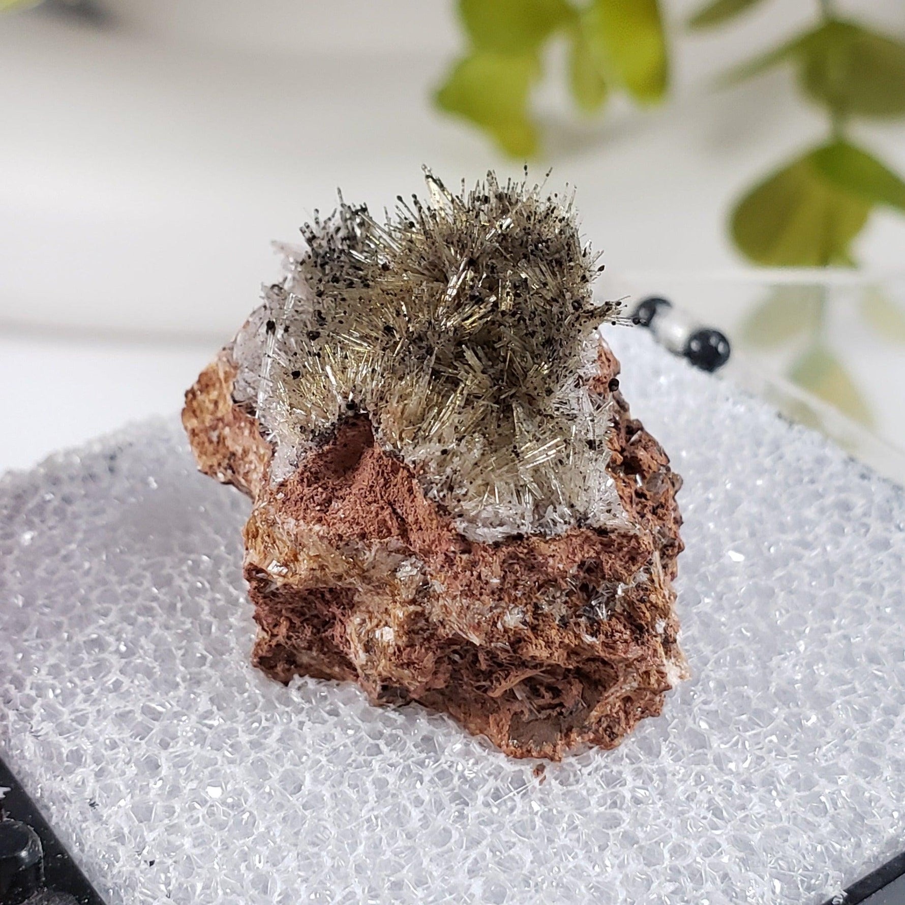  Chalcophanite on Scholzite | Display Box | Rare Combination | Reaphook Hill, South Australia | SO24 3