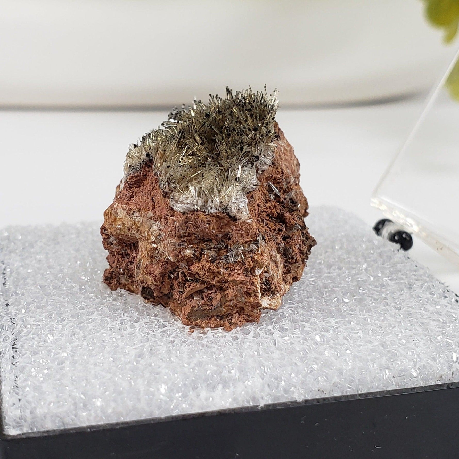  Chalcophanite on Scholzite | Display Box | Rare Combination | Reaphook Hill, South Australia | SO24 4