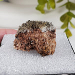  Chalcophanite on Scholzite | Display Box | Rare Combination | Reaphook Hill, South Australia | SO24 5