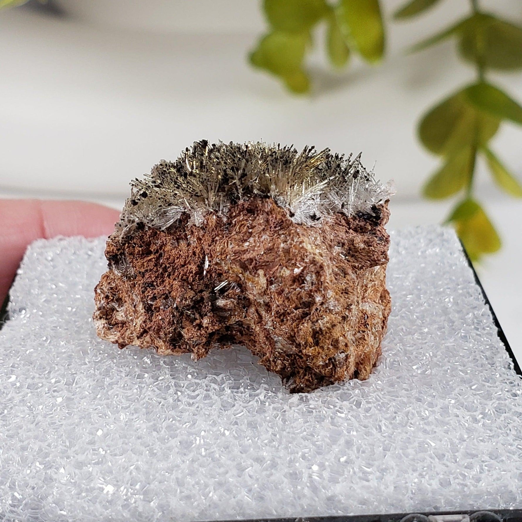  Chalcophanite on Scholzite | Display Box | Rare Combination | Reaphook Hill, South Australia | SO24 5