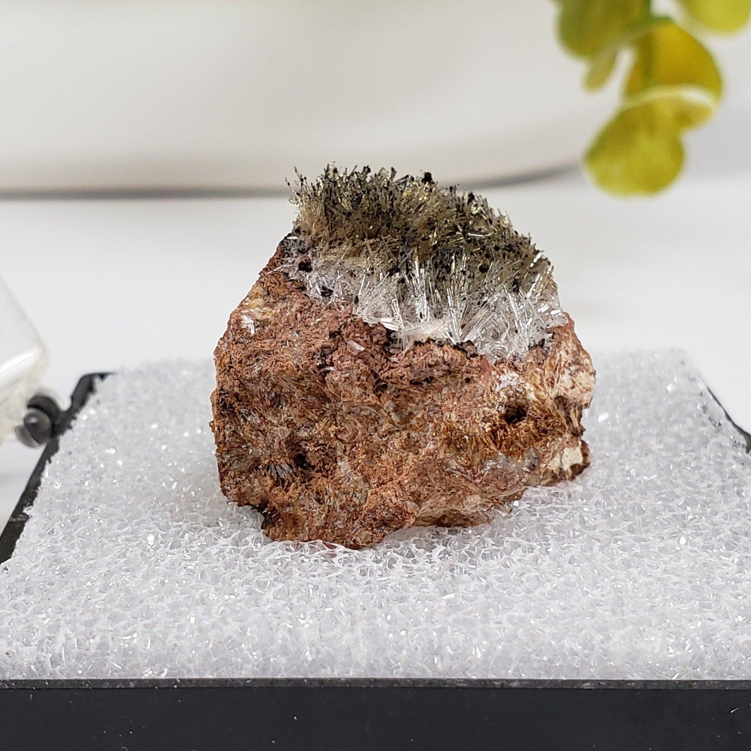  Chalcophanite on Scholzite | Display Box | Rare Combination | Reaphook Hill, South Australia | SO24 1