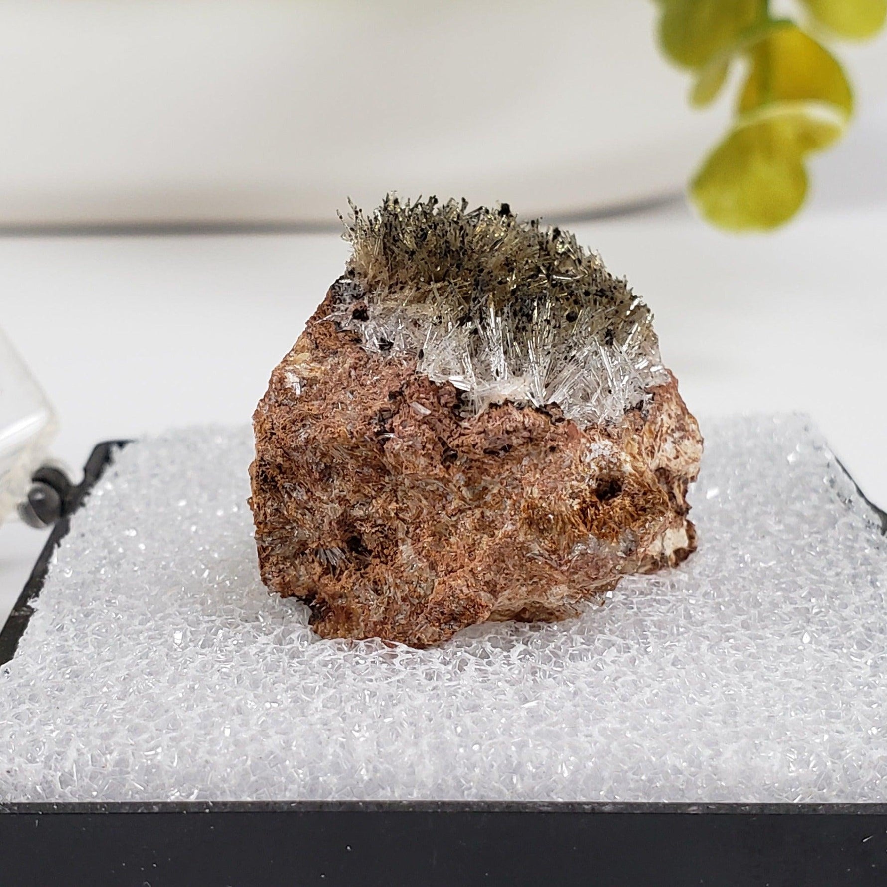  Chalcophanite on Scholzite | Display Box | Rare Combination | Reaphook Hill, South Australia | SO24 1