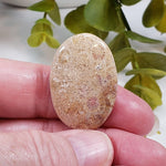  Chrysanthemum Coral Fossil | Fossilized Coral Untreated | 36.7x25.4mm 43.60ct | Polished Gemstone Cabochon | Africa | SO24 3