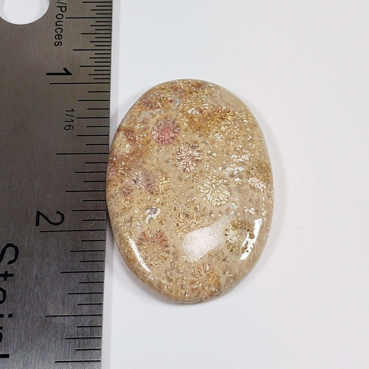  Chrysanthemum Coral Fossil | Fossilized Coral Untreated | 36.7x25.4mm 43.60ct | Polished Gemstone Cabochon | Africa | SO24 4