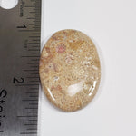  Chrysanthemum Coral Fossil | Fossilized Coral Untreated | 36.7x25.4mm 43.60ct | Polished Gemstone Cabochon | Africa | SO24 4
