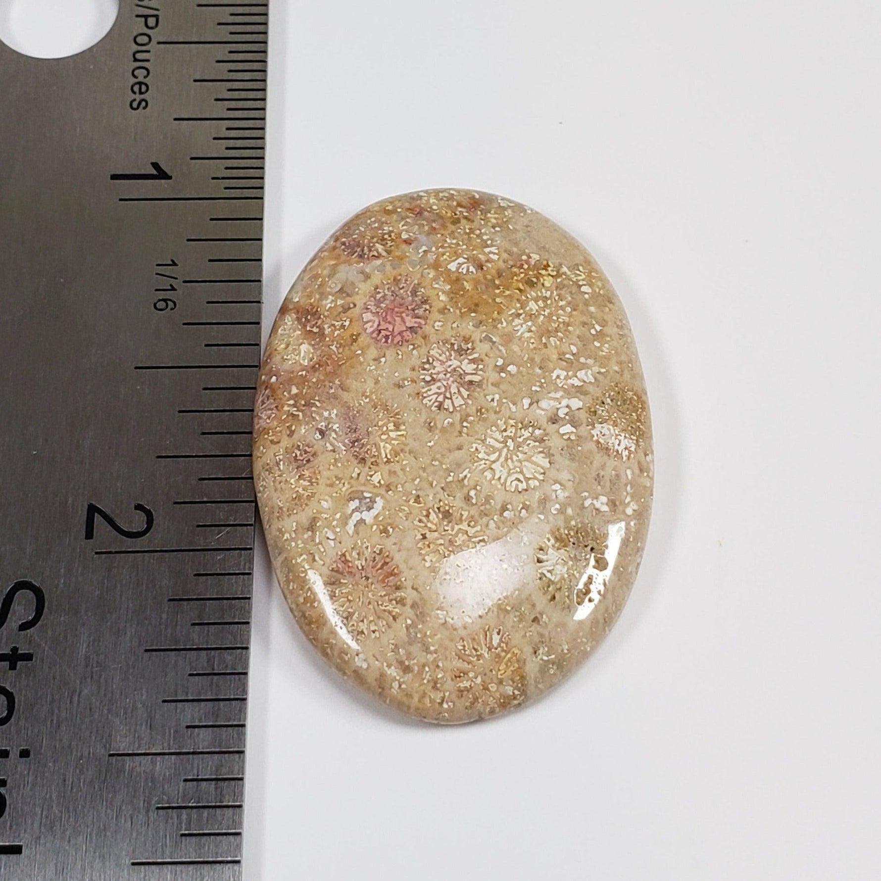  Chrysanthemum Coral Fossil | Fossilized Coral Untreated | 36.7x25.4mm 43.60ct | Polished Gemstone Cabochon | Africa | SO24 4