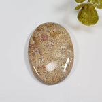  Chrysanthemum Coral Fossil | Fossilized Coral Untreated | 36.7x25.4mm 43.60ct | Polished Gemstone Cabochon | Africa | SO24 5