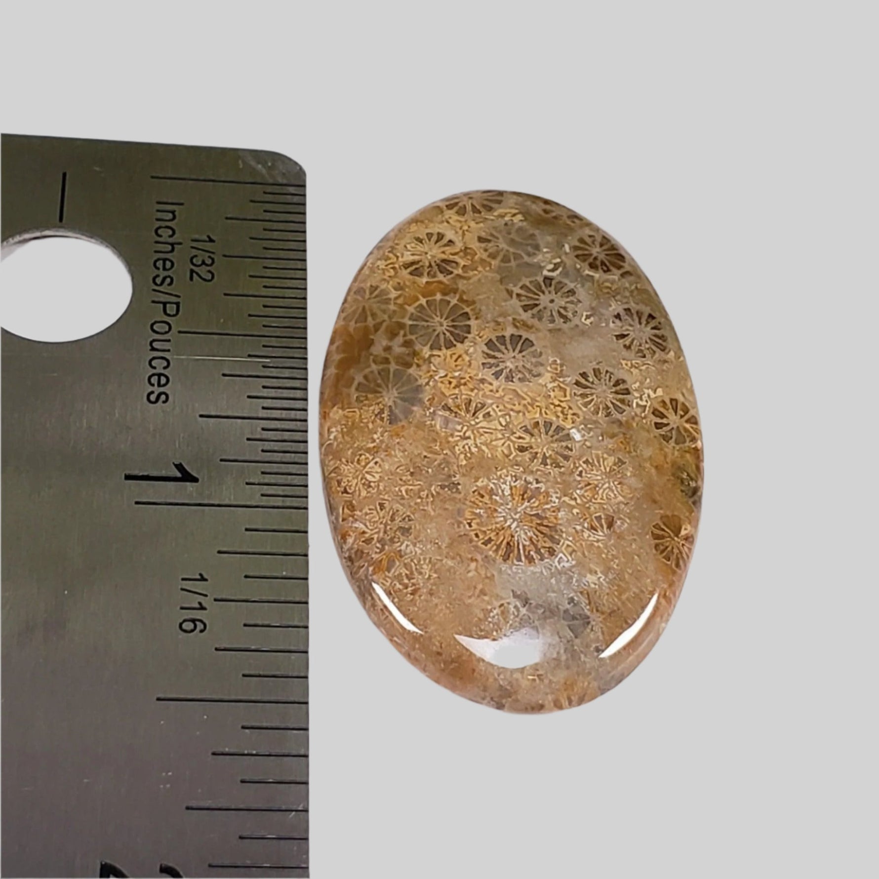  Chrysanthemum Coral Fossil | Fossilized Coral Untreated | 37.6x22.5mm 39.40ct | Polished Gemstone Cabochon | Africa | SO24 3