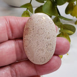  Chrysanthemum Coral Fossil | Fossilized Coral Untreated | 44.6x28.9mm 59.65ct | Polished Gemstone Cabochon | Africa | SO24 