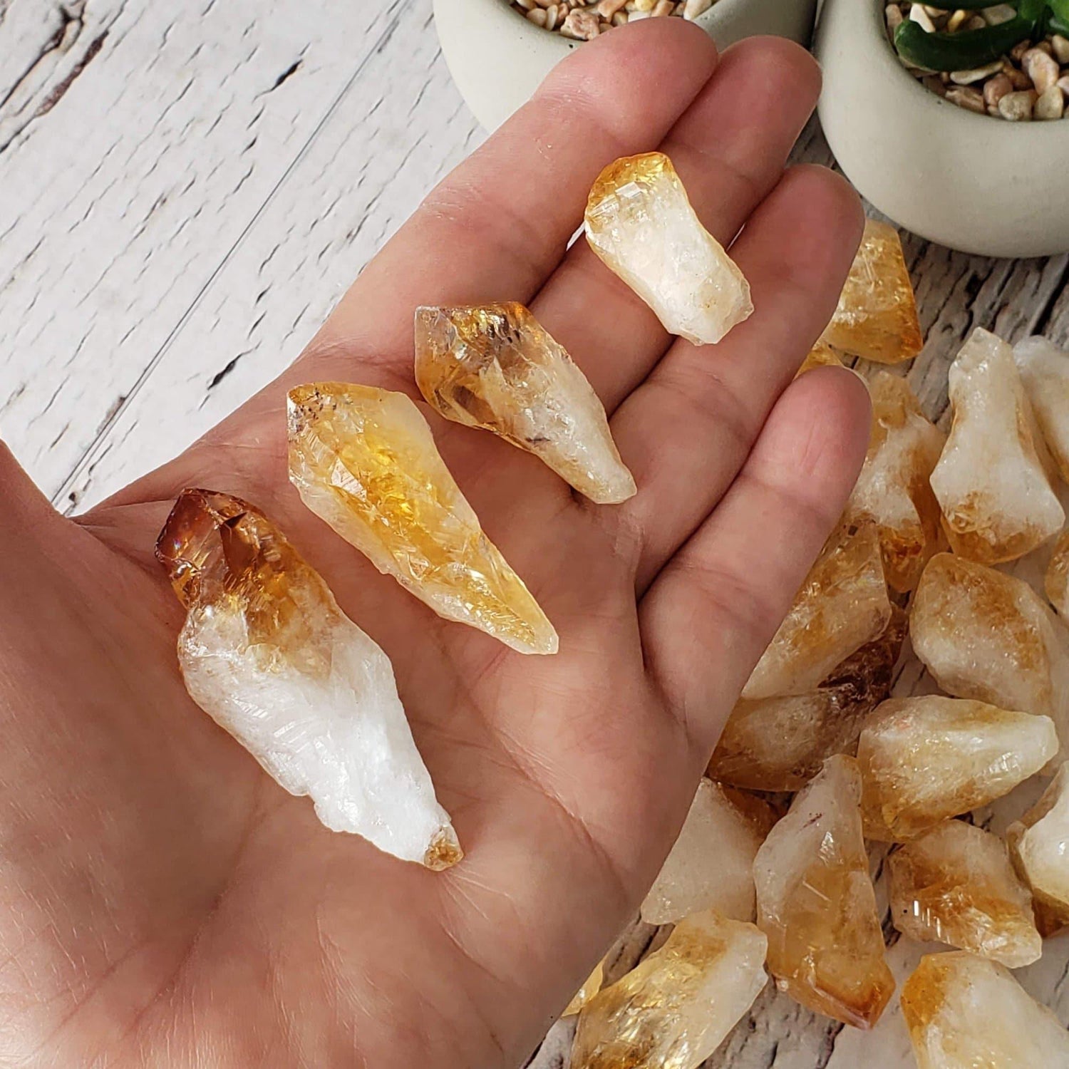 D - Citrine Root Crystal | Citrine Point | Citrine Tooth | Rio Do Sol, Brazil 1