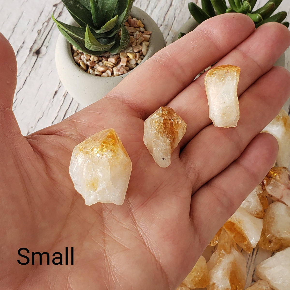 D - Citrine Root Crystal | Citrine Point | Citrine Tooth | Rio Do Sol, Brazil 2