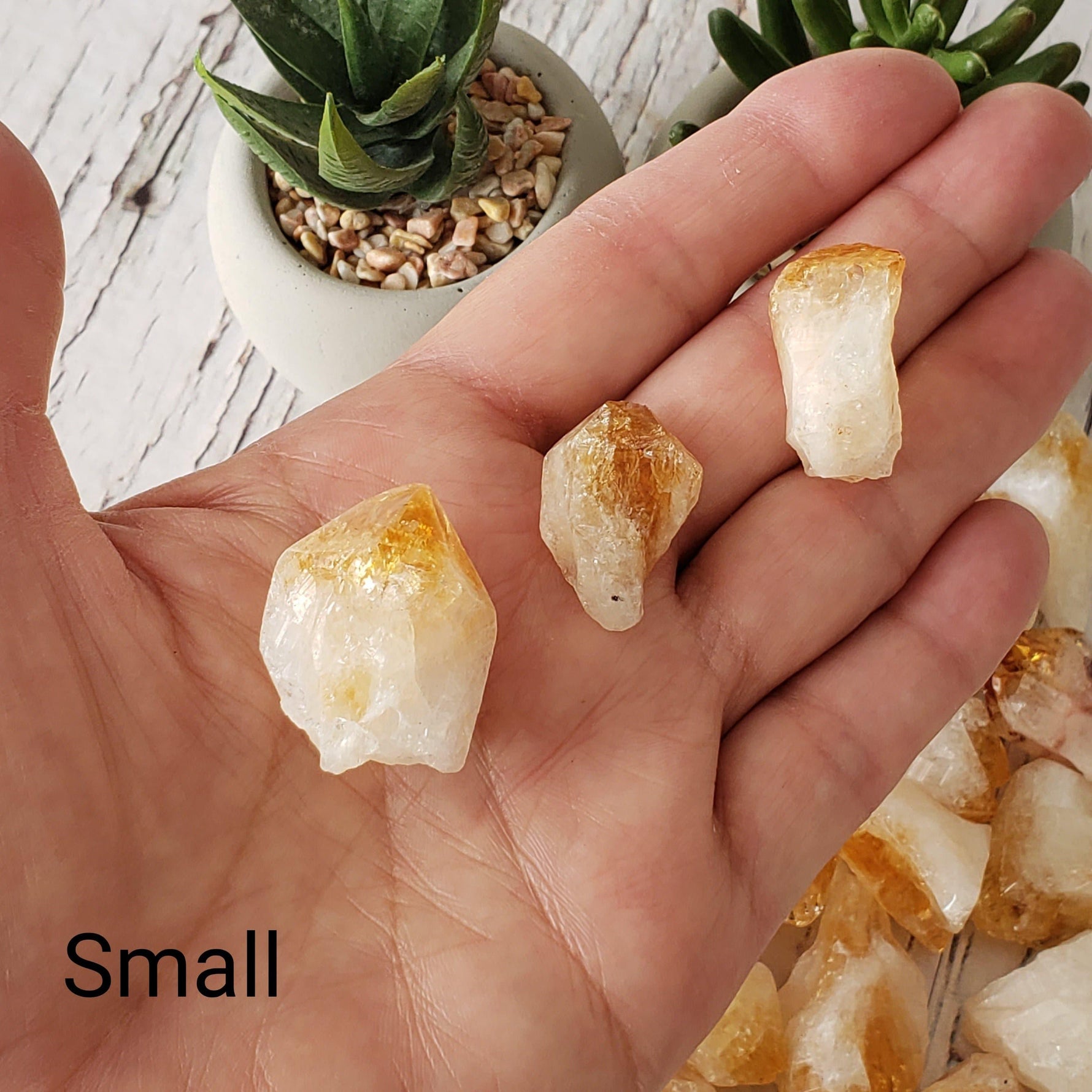 D - Citrine Root Crystal | Citrine Point | Citrine Tooth | Rio Do Sol, Brazil 2