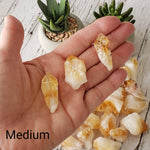 D - Citrine Root Crystal | Citrine Point | Citrine Tooth | Rio Do Sol, Brazil 5