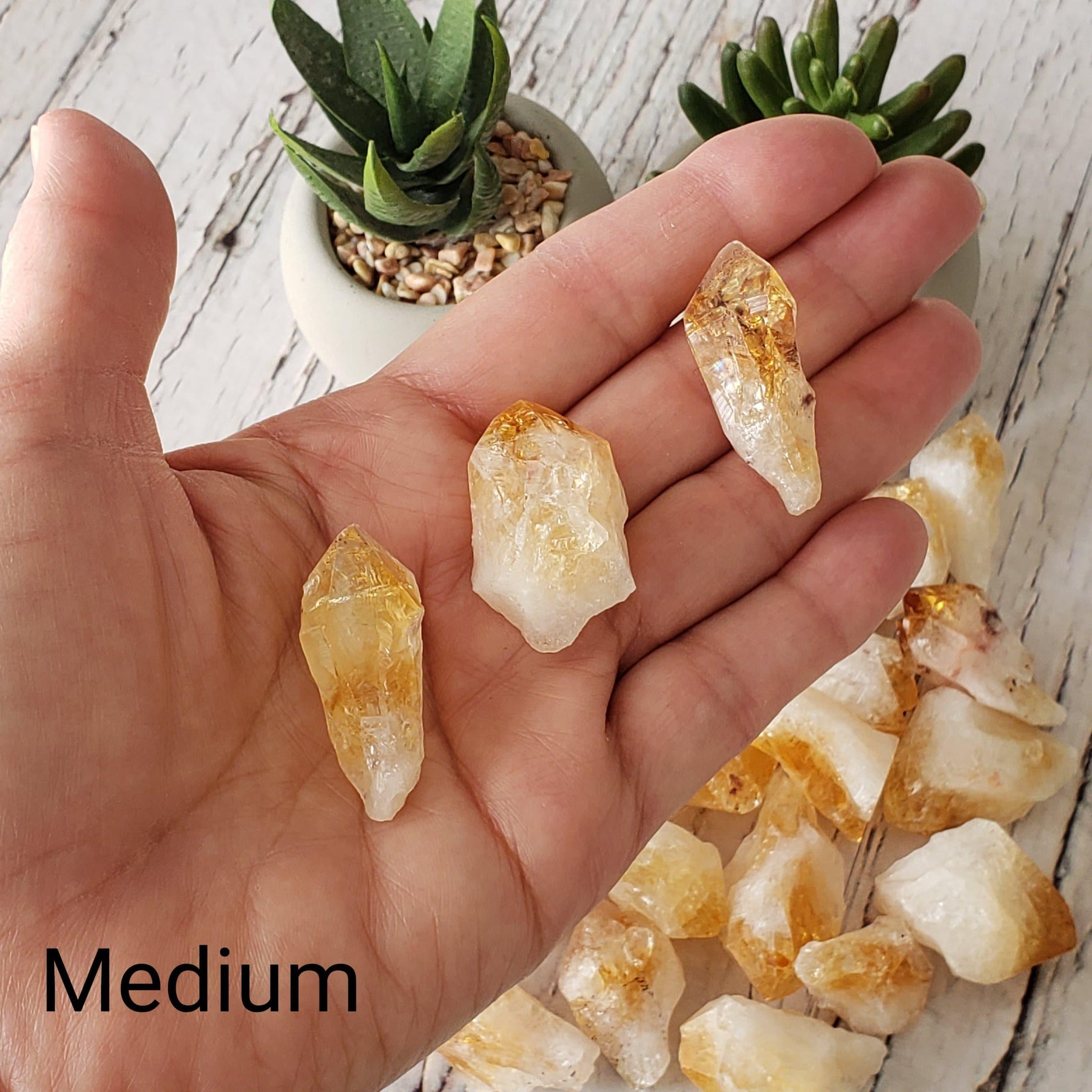 D - Citrine Root Crystal | Citrine Point | Citrine Tooth | Rio Do Sol, Brazil 5