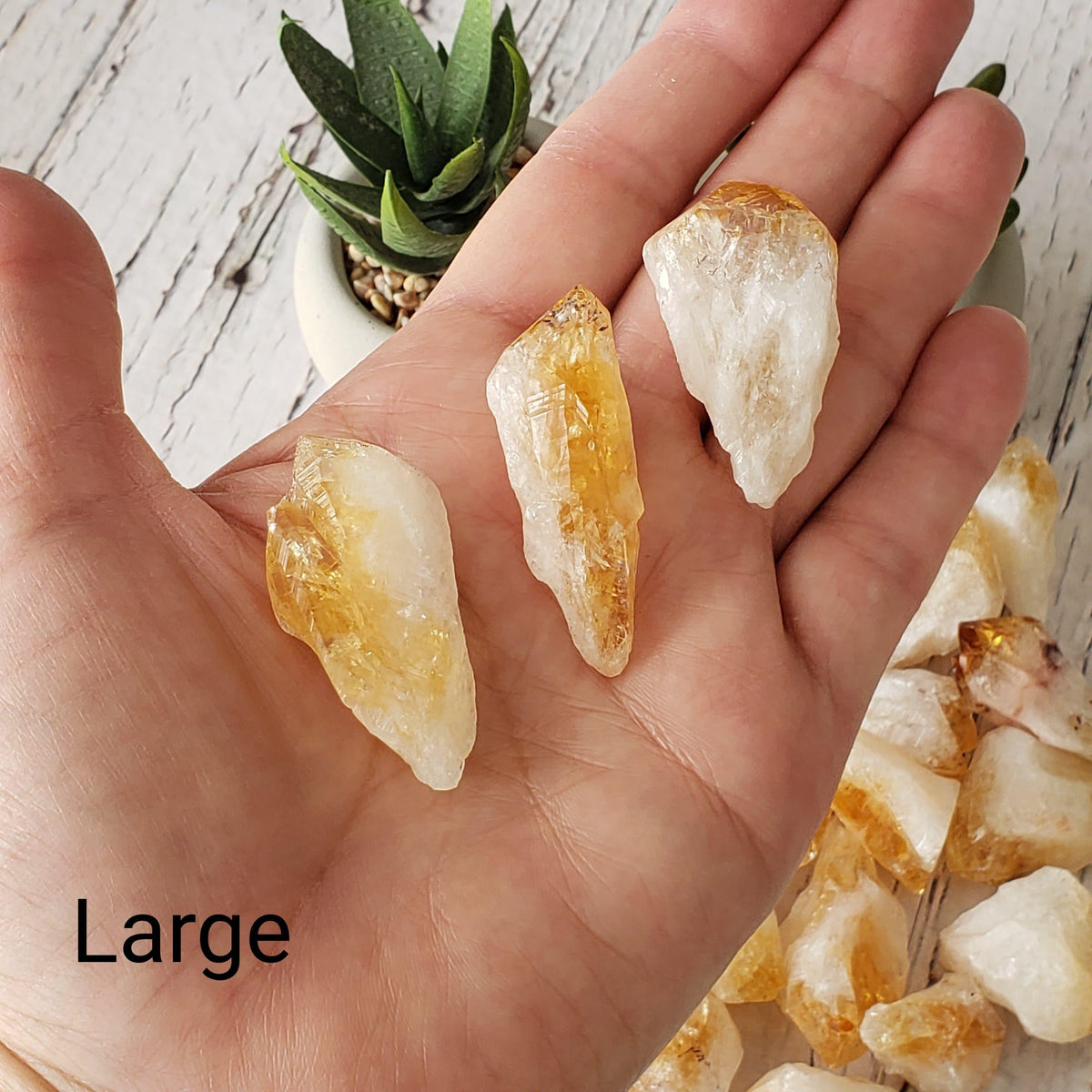 D - Citrine Root Crystal | Citrine Point | Citrine Tooth | Rio Do Sol, Brazil 3