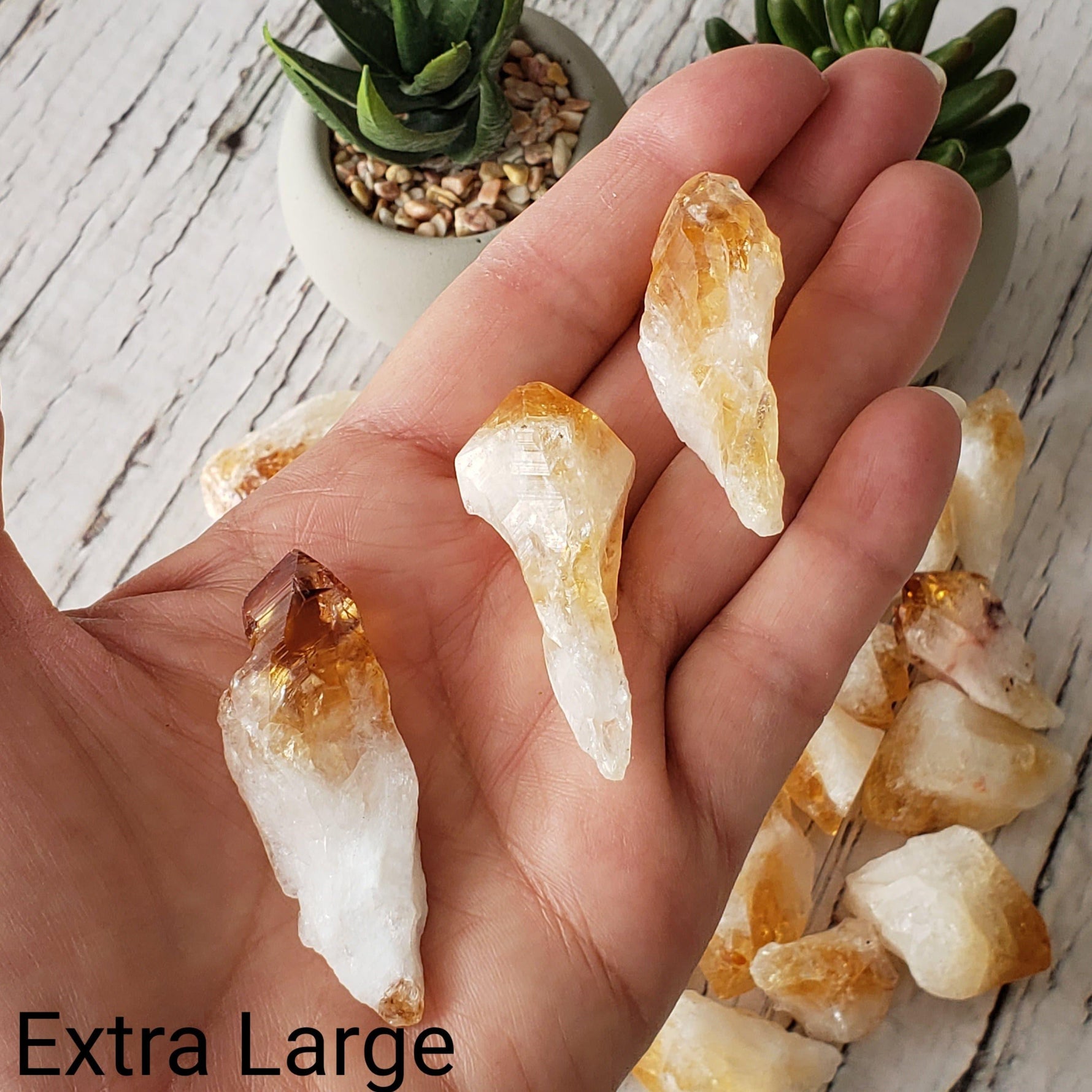 D - Citrine Root Crystal | Citrine Point | Citrine Tooth | Rio Do Sol, Brazil 4