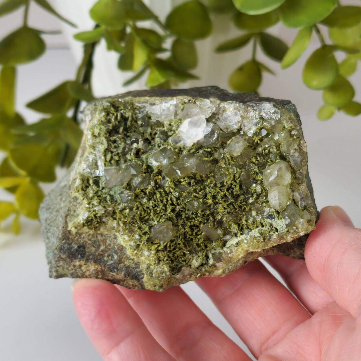  Clinozoisite var. Pistacite and Quartz Cluster | 326.4 gr | Green Epidote | Alicante, Spain 7