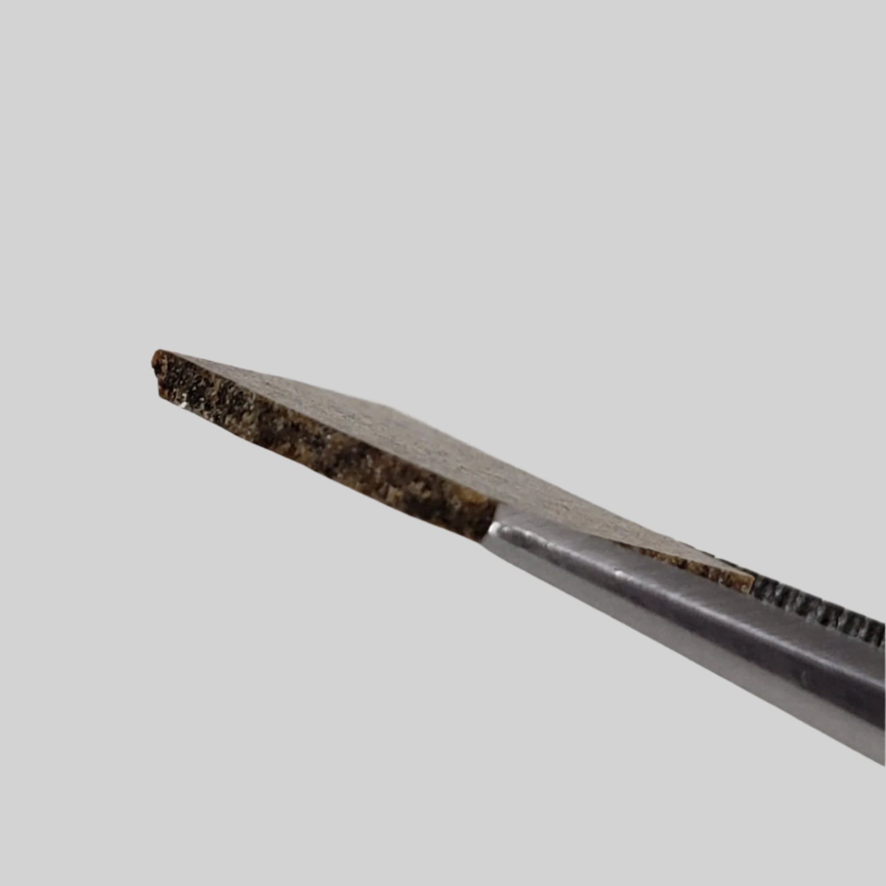  Dhofar 019 Meteorite | .382 Gr | Slice | Martian Basaltic Shergottite | Mars | Rare 5