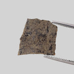  Dhofar 019 Meteorite | .382 Gr | Slice | Martian Basaltic Shergottite | Mars | Rare 3