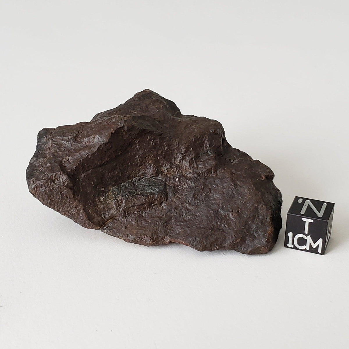  Dhofar 020 Meteorite | 103.75 Grams | Individual | H4/5 Shocked Chondrite | Oman Sahara Y2K 