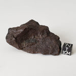  Dhofar 020 Meteorite | 103.75 Grams | Individual | H4/5 Shocked Chondrite | Oman Sahara Y2K 