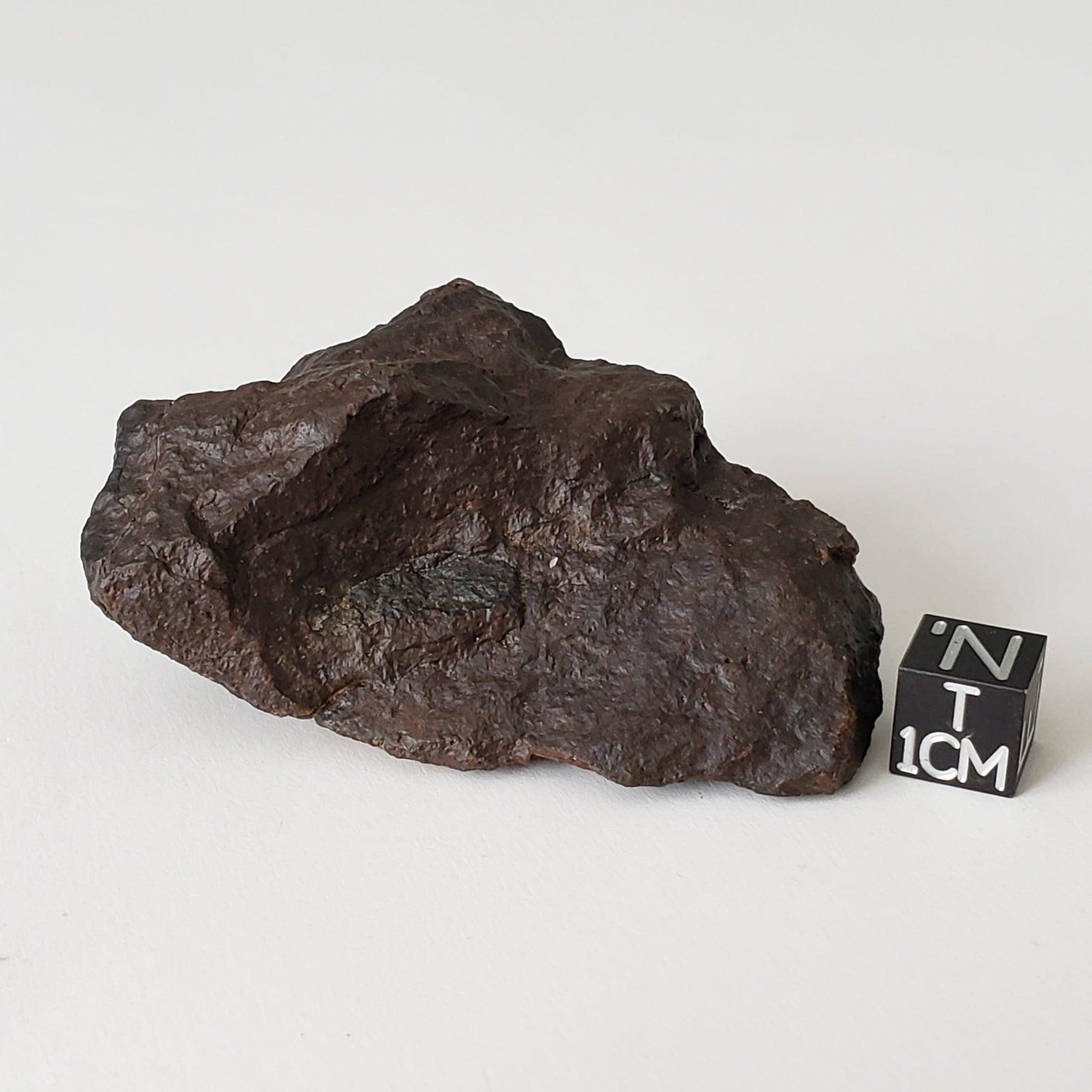  Dhofar 020 Meteorite | 103.75 Grams | Individual | H4/5 Shocked Chondrite | Oman Sahara Y2K 