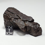  Dhofar 020 Meteorite | 82.14 Grams | Individual | H4-5 Shocked Chondrite | Sahara | Y2K 