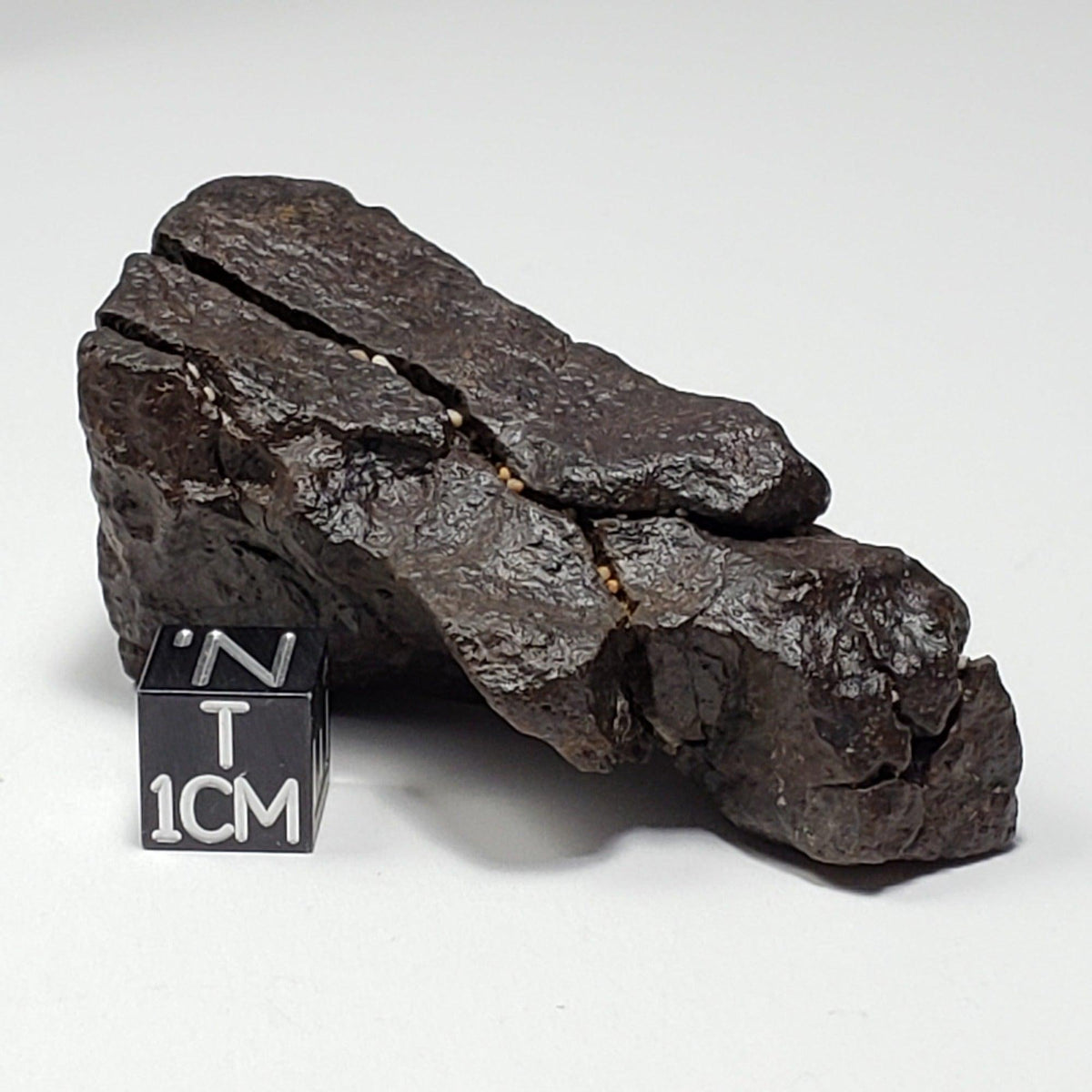  Dhofar 020 Meteorite | 82.14 Grams | Individual | H4-5 Shocked Chondrite | Sahara | Y2K 
