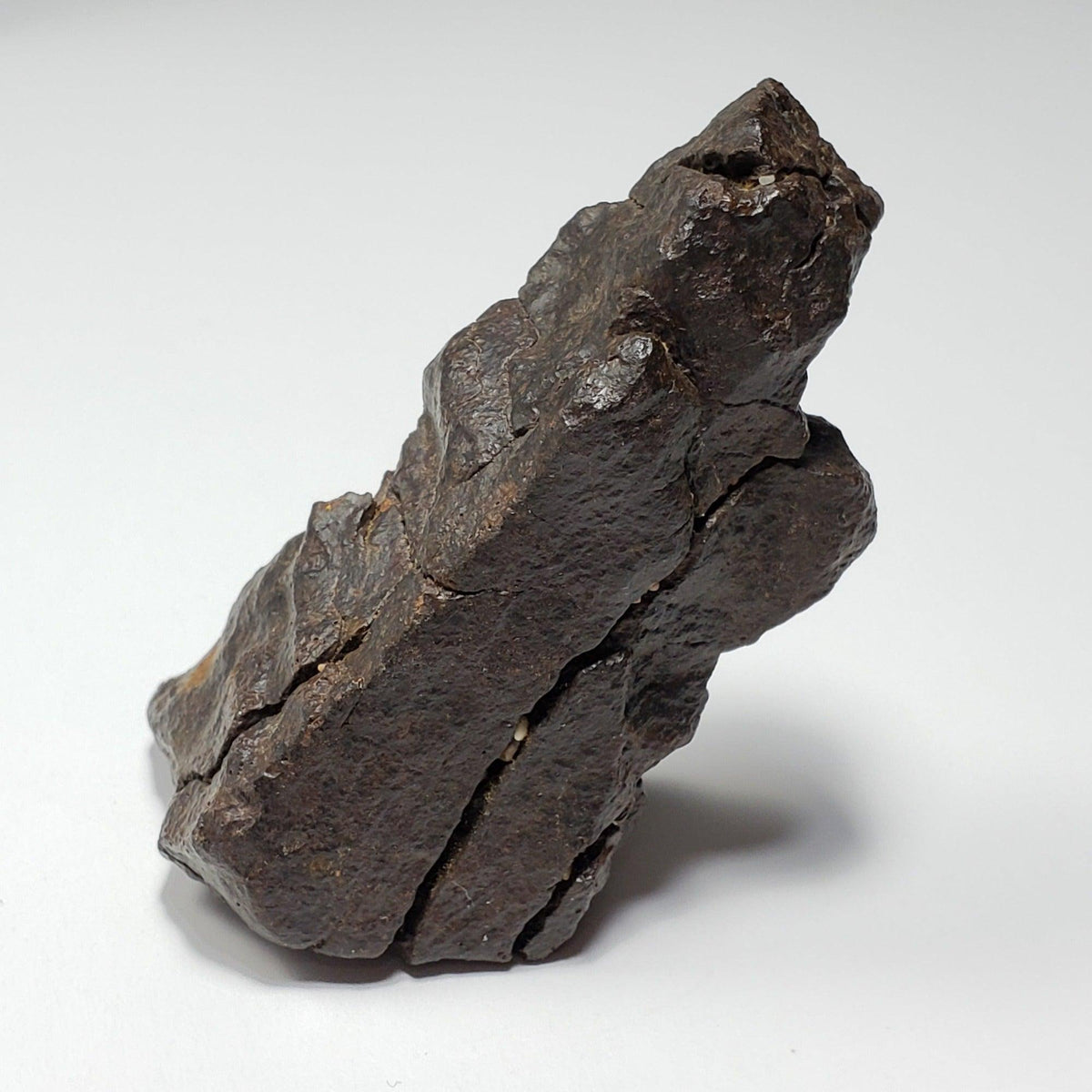  Dhofar 020 Meteorite | 82.14 Grams | Individual | H4-5 Shocked Chondrite | Sahara | Y2K 1