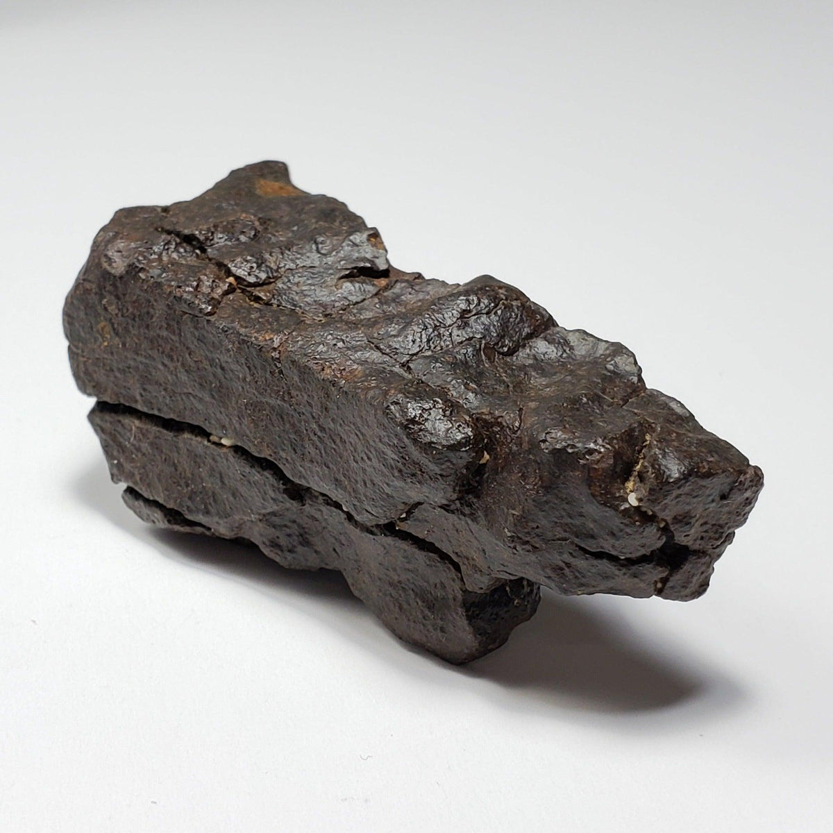 Dhofar 020 Meteorite | 82.14 Grams | Individual | H4-5 Shocked Chondrite | Sahara | Y2K 2