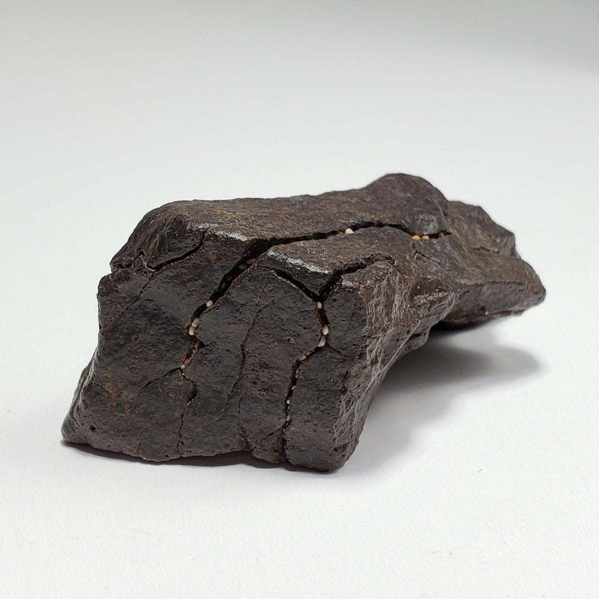  Dhofar 020 Meteorite | 82.14 Grams | Individual | H4-5 Shocked Chondrite | Sahara | Y2K 3