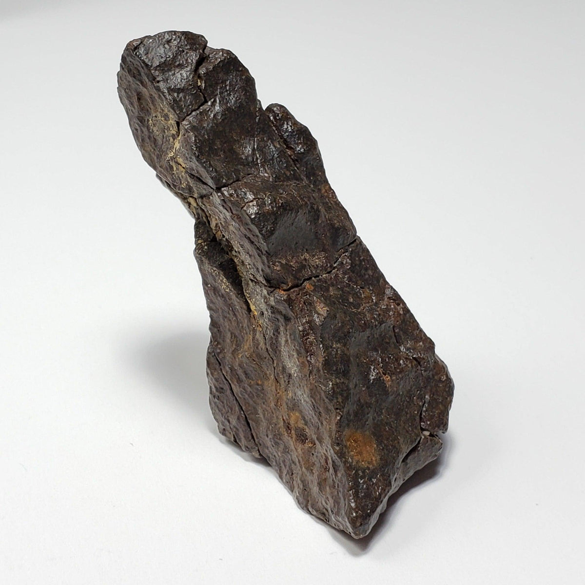  Dhofar 020 Meteorite | 82.14 Grams | Individual | H4-5 Shocked Chondrite | Sahara | Y2K 4